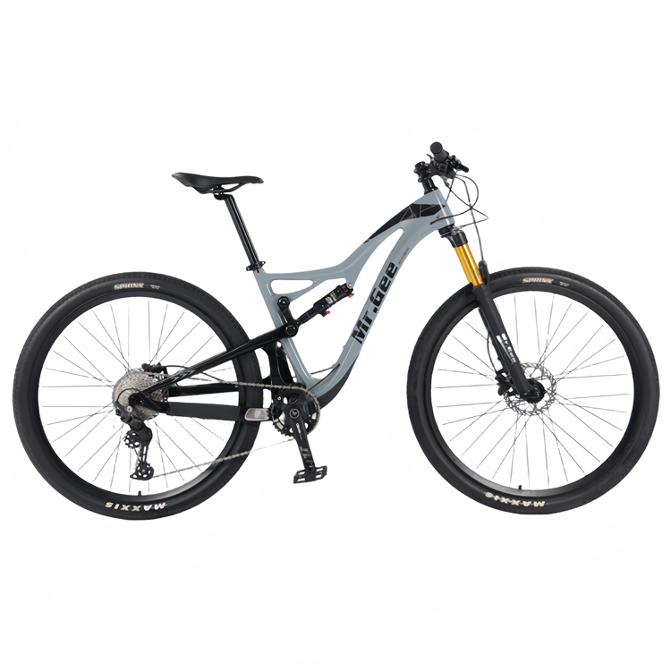 Sepeda Karbon Fiber 29 Inch Ch - Philippines Cycling Gear ulasan dan harga